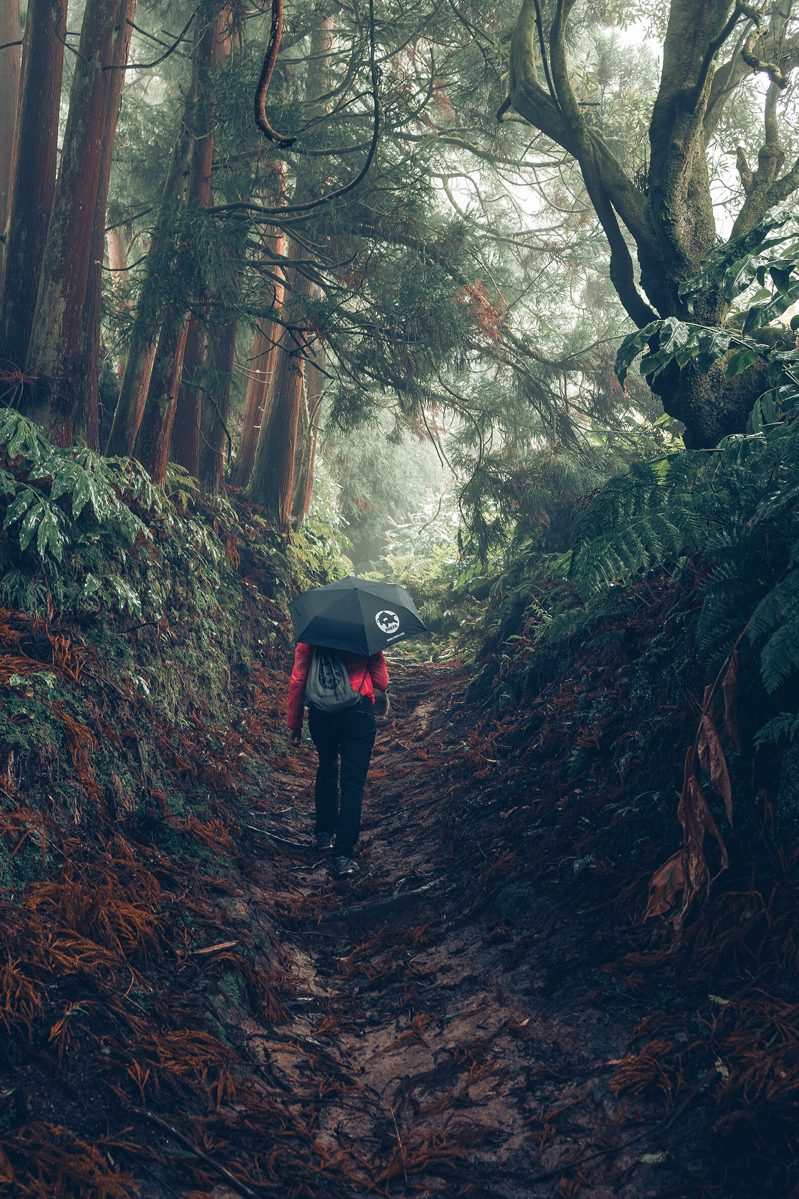 La foto nella foresta con l'escursionista in giacca rossa con ombrello e borsa da ginnastica PREFA simboleggia la tutela dell’ambienta e la sostenibilità di PREFA, nonché l'economia circolare e il riciclo.