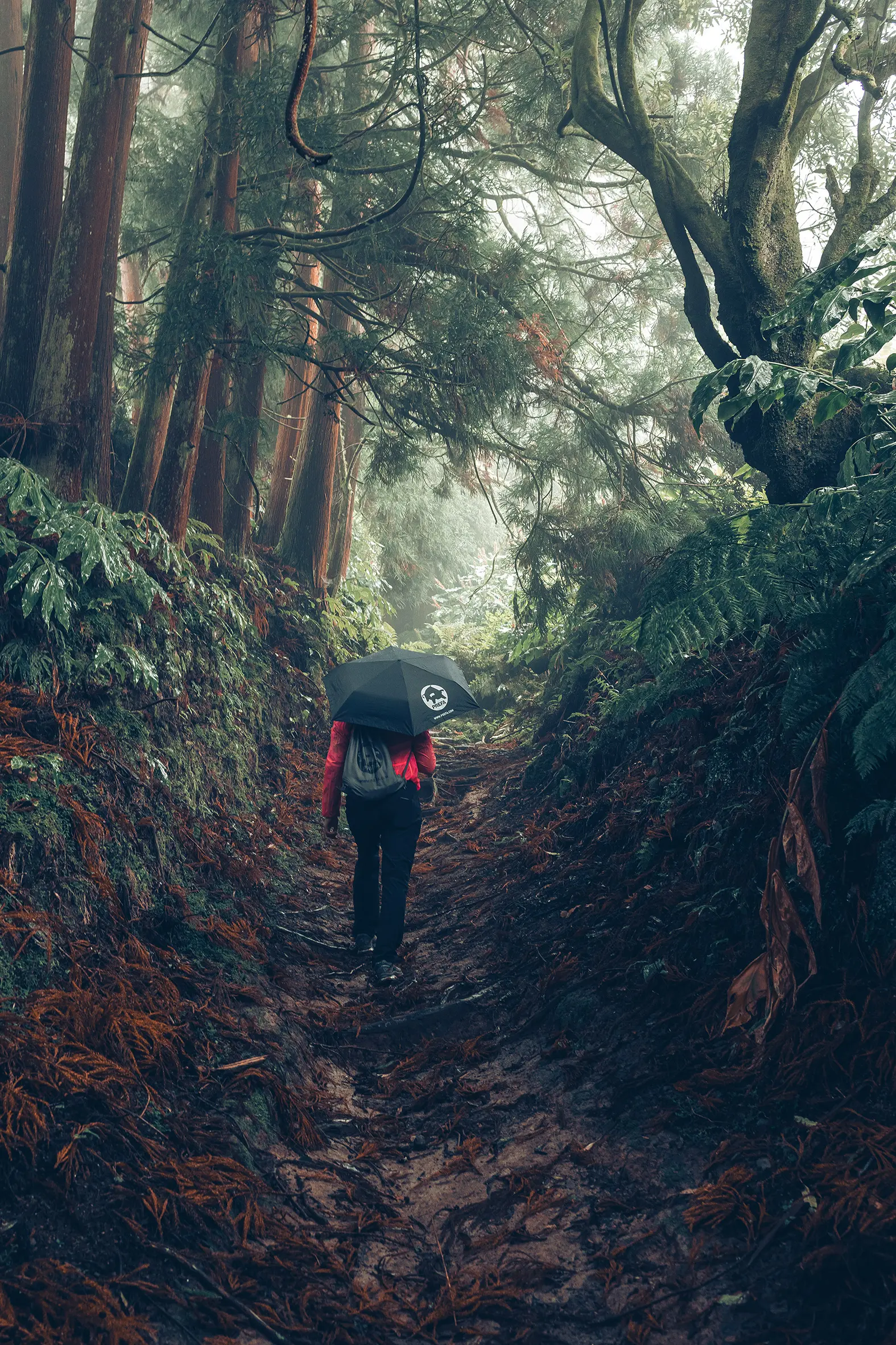 La foto nella foresta con l'escursionista in giacca rossa con ombrello e borsa da ginnastica PREFA simboleggia la tutela dell’ambienta e la sostenibilità di PREFA, nonché l'economia circolare e il riciclo.