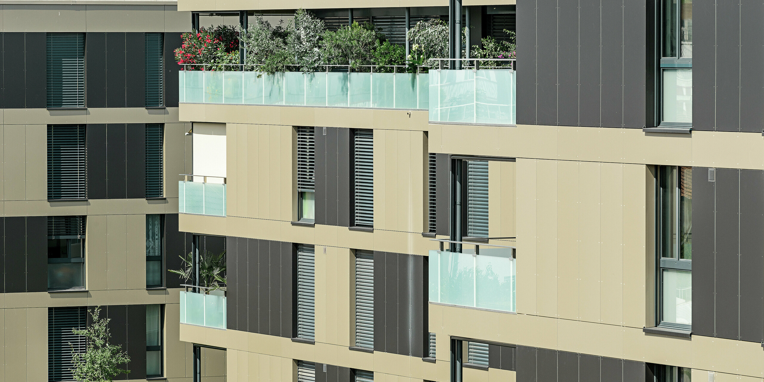 complesso residenziale cubiforme con facciata in alluminio in bronzo con elementi in nero opaco
